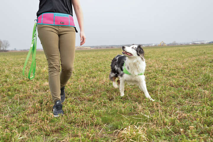 petlando Bauchtasche Miami